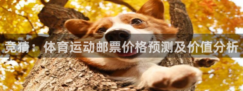 TOP1体育平台入口：竞猜：体育运动邮票价格预测及价值分析