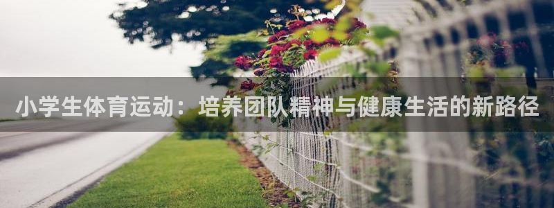top1体育下载入口：小学生体育运动：培养团队精神与健康生活的新路径