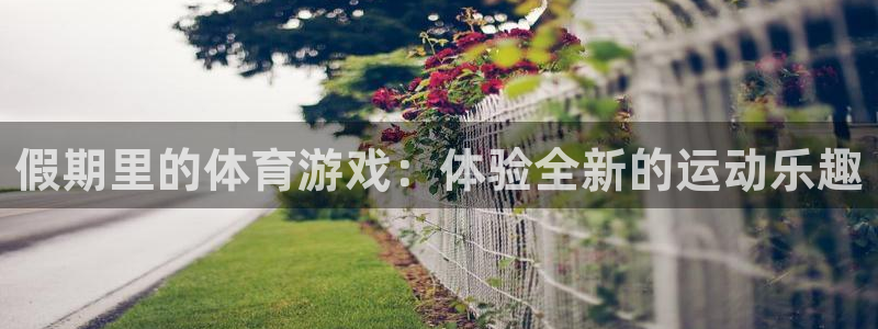 top1体育网站：假期里的体育游戏：体验全新的运动乐趣
